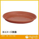 アップルウェアー 浅皿AP10号 300φ×36mm テラコッタ 1