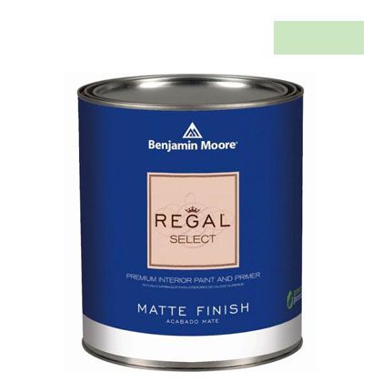 ٥󥸥ߥࡼڥ ꡼륻쥯ȥޥåȱä pastel green 1L Q221-548