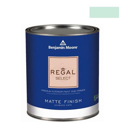 ベンジャミンムーアペイント リーガルセレクトマット艶消しエコ水性塗料 outer sphere 4L G221-645