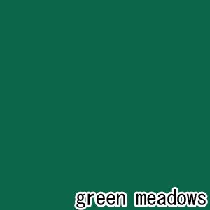 ベンジャミンムーアペイント リーガルセレクトマット 艶消し エコ水性塗料 green meadows 1L (Q221-2040-20) Benjaminmoore 塗料 水性塗料