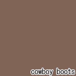 ベンジャミンムーアペイント リーガルセレクトエッグシェル 2?3分艶有り エコ水性塗料 cowboy boots （G319-1015） Benjaminmoore　塗料　水性塗料