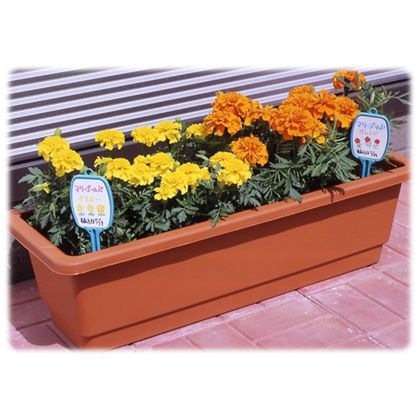 コンパル 花壇のプレート(SA) 縦22cm×横6.3cm シアン 1点
