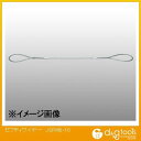 JSH セフティワイヤー JSPW6-10 1点