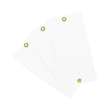 藤原産業 樹木ラベル大 100mmX200mm 1