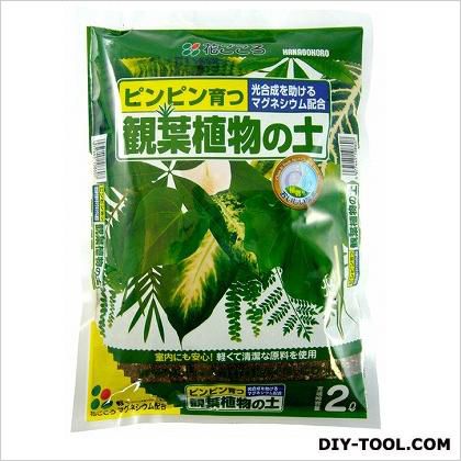 花ごころ 観葉植物の土 2L