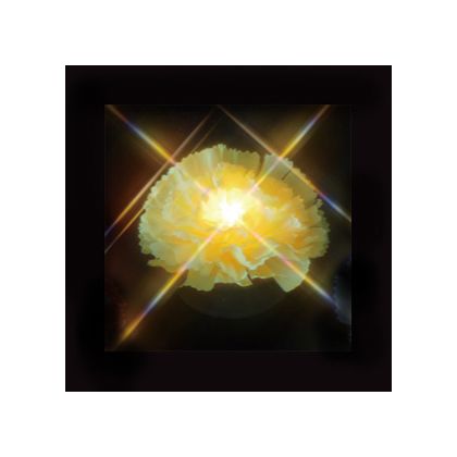 デンサン LEDフラワー(電池式) STM-J35YL 1点