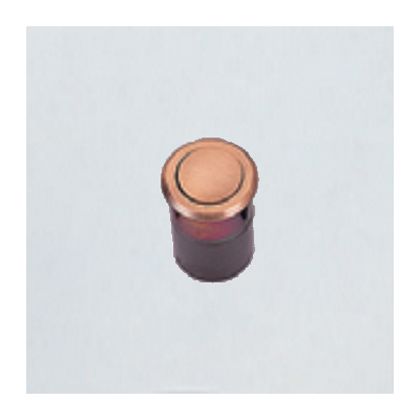 ソーワ プッシュツマミ面付 24mm 12162 1