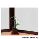 明和グラビア 窓飾りシート(ノンシルエットタイプ) 46cm丈×90cm巻 ホワイト GP-4640 1