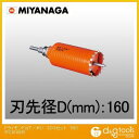 ミヤナガ 乾式ドライモンドコアドリル/ポリクリックシリーズSDSシャンクセット品 160mm PCD160R 1