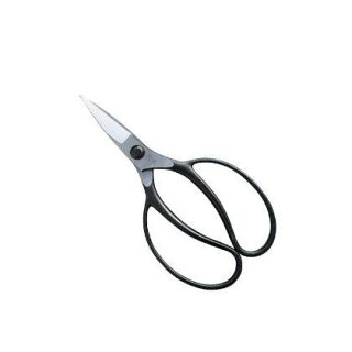 松の剪定の必要道具と剪定方法 庭いじり 松の剪定の必要道具と剪定方法 庭いじり