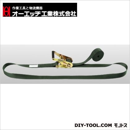 仕様 入数 1点 BWR300E