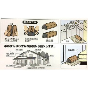 三共消毒 ねずみとり ネズミ禁止区域H(ハウスタイプ) シルバー 380mm×260mm×2mm （713145）　2枚