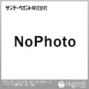 シンロイヒ ルミノエコカラースーパー下塗り白白(専用下地材) 1kg 1