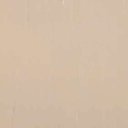 東リ MSフレッシュ 300×300mm MS5505 50