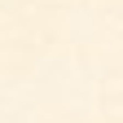  եȶ H=100mmL=909mm TH10013 25