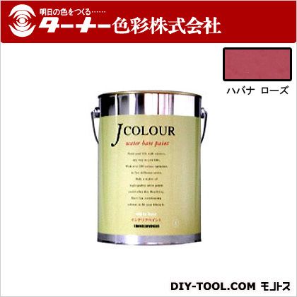 ターナー色彩 Jカラー 4L ハバナロース JC40VI1D