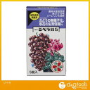 スミトモカガクエンゲイ ジベラ(ジベレリン水溶剤) 5錠