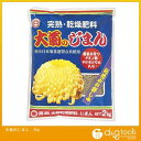 東商 大菊のじまん 2kg 1