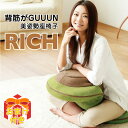 背筋がGUUUN 美姿勢座椅子 リッチRICH 姿勢矯正 座椅子 猫背 矯正 骨盤矯正 骨盤ダイエット ストレッチ 骨盤座椅子 椅子 リクライニング 子供用 背筋がグーン 背すじ 座椅子 東海テレビ 姿勢が良くなる 美姿勢 母の日 のプレゼントに プレゼント