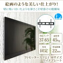 テレビ 壁掛け 金具 テレビ壁掛け金具 テレビ壁掛金具 極薄設置 37-65インチ対応 TVセッタースリム1 Mサイズ ワイドプレート TVSFXGP132XL