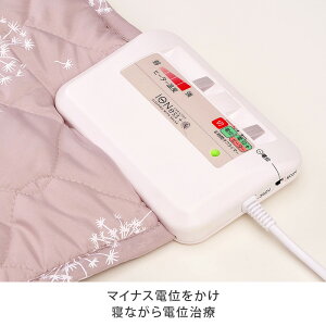 マイナス電位をかけ眠っている間に電位治療
