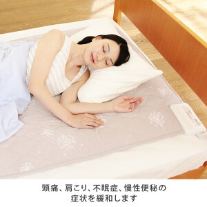 頭痛、肩こり、不眠症、慢性便秘の症状を緩和します