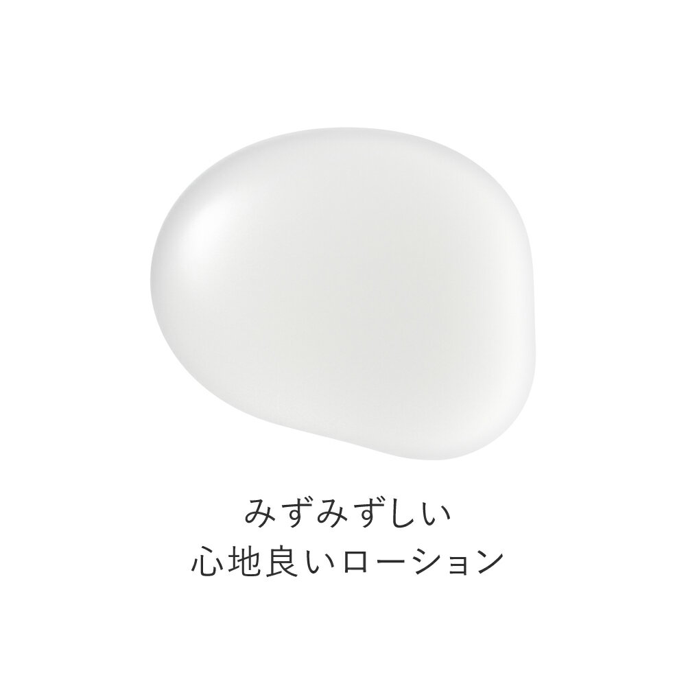 NEW 化粧水 保湿 角層ケア セラミド ワセリン エクトイン 高濃度 乾燥 ハリ くすみ 乾燥肌 敏感肌 トゥベール （3枚目）
