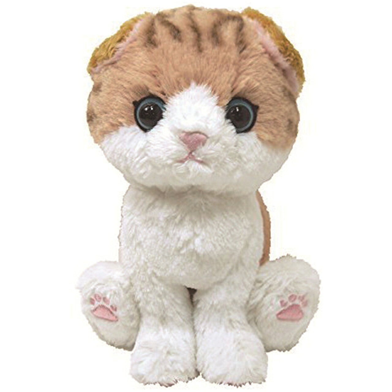 乐天商城 - キトン ぬいぐるみ スコティッシュフォールド BR