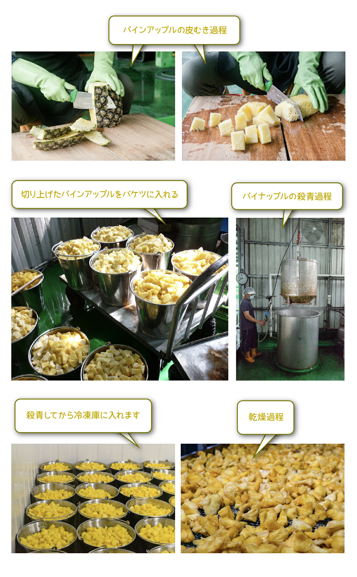 【10％オフクーポン有】ドライ金鑽パイナップル 無糖 100g X2セット 台湾産 100%天然 無添加 ドライパイナップル 無添加ドライフルーツ ドライフルーツ【白堊園】【台湾直送】【送料無料】