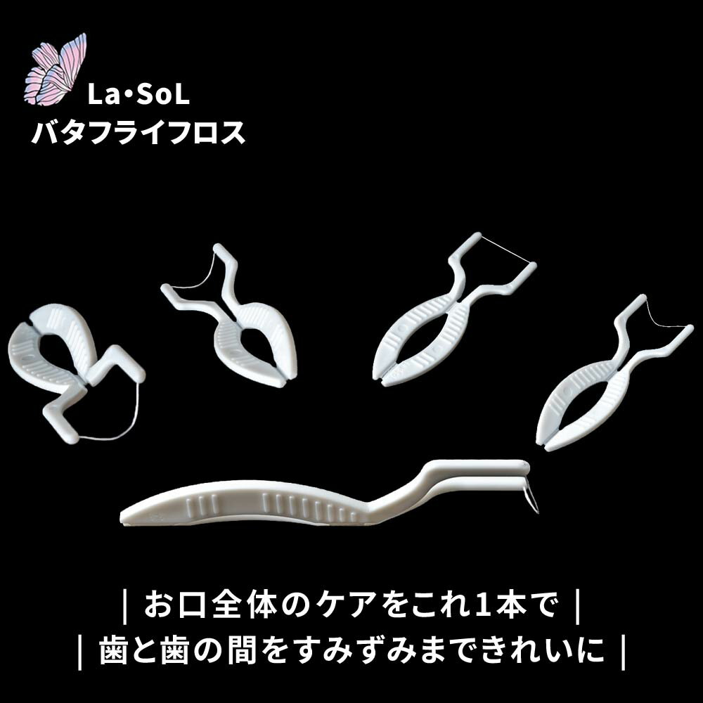 バタフライフロス 10本入り Y Y字タイプ Y字型 デンタルフロス フロス 携帯用 使い捨て 歯 歯間ブラシ ブレスケア オーラルケア【LDC】【台湾直送】【送料無料】