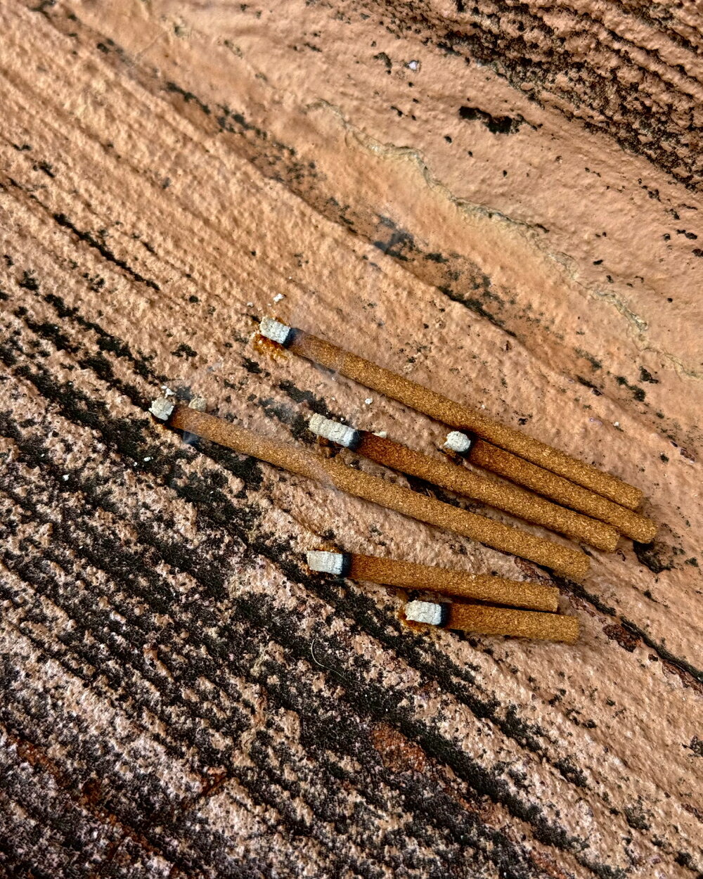 100��ڥ롼���ѥ�����Ȼ��� �������� 20���� ŷ����ʴ ̵���� ̵ź�� ������������ۡ�����ľ���ۡ�����̵����