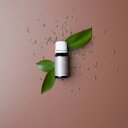 BIOLUME CARE | オーストラリア産 アロマオイル CALM 穏やか 10ml/瓶 ラベンダー オレンジ ゼラニウム マジョラム シダーウッド ベルガモット 精油 アロマ【日本国内発送】【送料無料】(4)