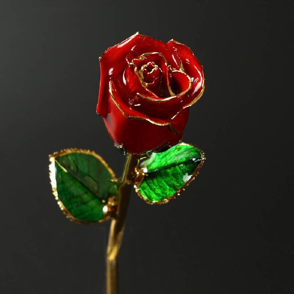 【888円割引商品】24K 金メッキ バラ レッド 赤 ローズ 薔薇 おしゃれ オーナメント インテリア 雑貨 置物 ギフトボックス 花言葉で選ぶ【Exoti Trade】【台湾直送】【送料無料】の商品画像 3
