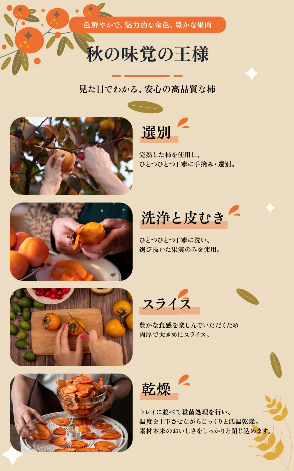 ������ 130g 2�� �Ȥ߹�碌���٤� �����å� / �ɥ饤�� �����Ի��� �Ť������� �ɥ饤�ե롼�� �� ���饤�� ���� ̵�忧 ̵ź�� ����å��ں��Ʋ�����ۡ�����ľ���ۡ�����̵����