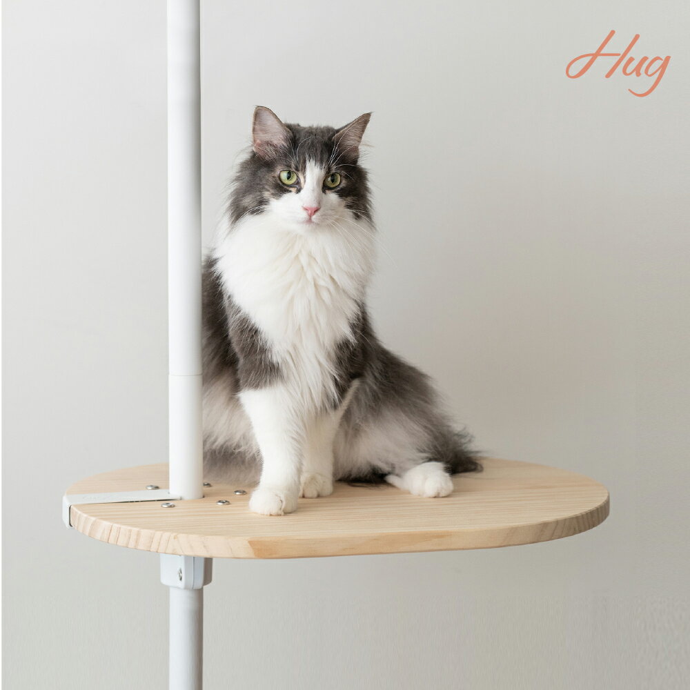 木製 ステップ板 大 / 中 / 小 ウッドステップ キャットステップ キャットウォーク キャットタワー ア..