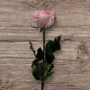 プリザーブドフラワー ローズ カラフル 50cm 1本 フラワー 花 バラ 薔薇 枯れない 一本 お祝い 誕生日 記念日 結婚 プレゼント ギフト 贈り物 恋人 妻 彼女 母 女性 【Kokobotanic】【台湾直送】【送料無料】
