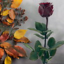 プリザーブドフラワー ローズ ブルゴーニュ 50cm 1本 フラワー 花 バラ 薔薇 枯れない 一本 お祝い 誕生日 記念日 プレゼント ギフト 贈り物 恋人 妻 彼女 母 女性 【Kokobotanic】【台湾直送】【送料無料】