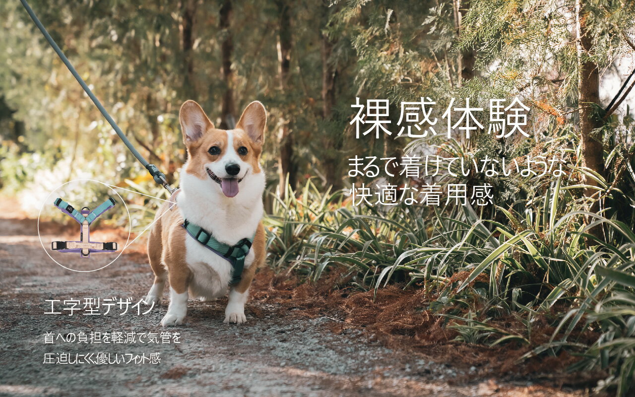 ハーネス 首輪 リード ペット用ハーネス 大型犬 中型犬 小型犬 軽量ハーネス H型ハーネス PAWGO 多段階調整ハーネス【露西的大山】【台湾直送】【送料無料】