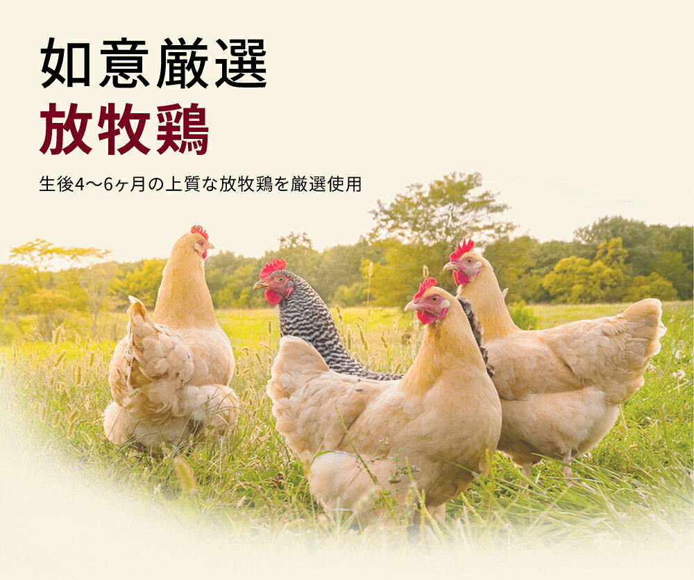☆5倍ポイント☆如意 山茶茸入り チキンエッセンス 50ml×18袋入り ギフトボックス 鶏精 ジージン チキンエキス チキンスープ きのこ 低カロリー 栄養 美容 プロテイン アミノ酸 コラーゲン ドリンク【RUYI】台湾発 twdirect-10021465 TW Direct サンプル画像3