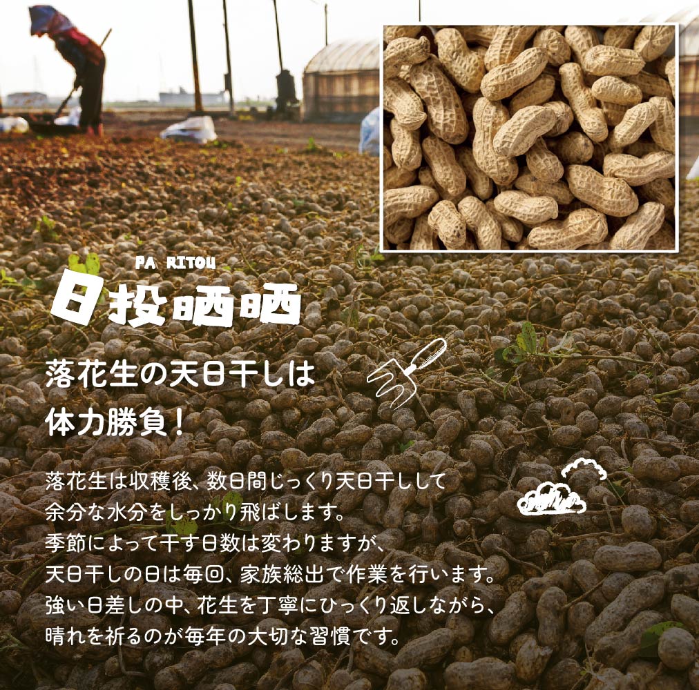 味付けピーナッツ 海老 / わさび / 小魚 4袋(400g) / 8袋(800g) セット 落花生 ねぎ塩 ガーリック おつまみ おやつ スナック まとめ買い パーティー 飲み会【拾物小島】【台湾直送】【送料無料】