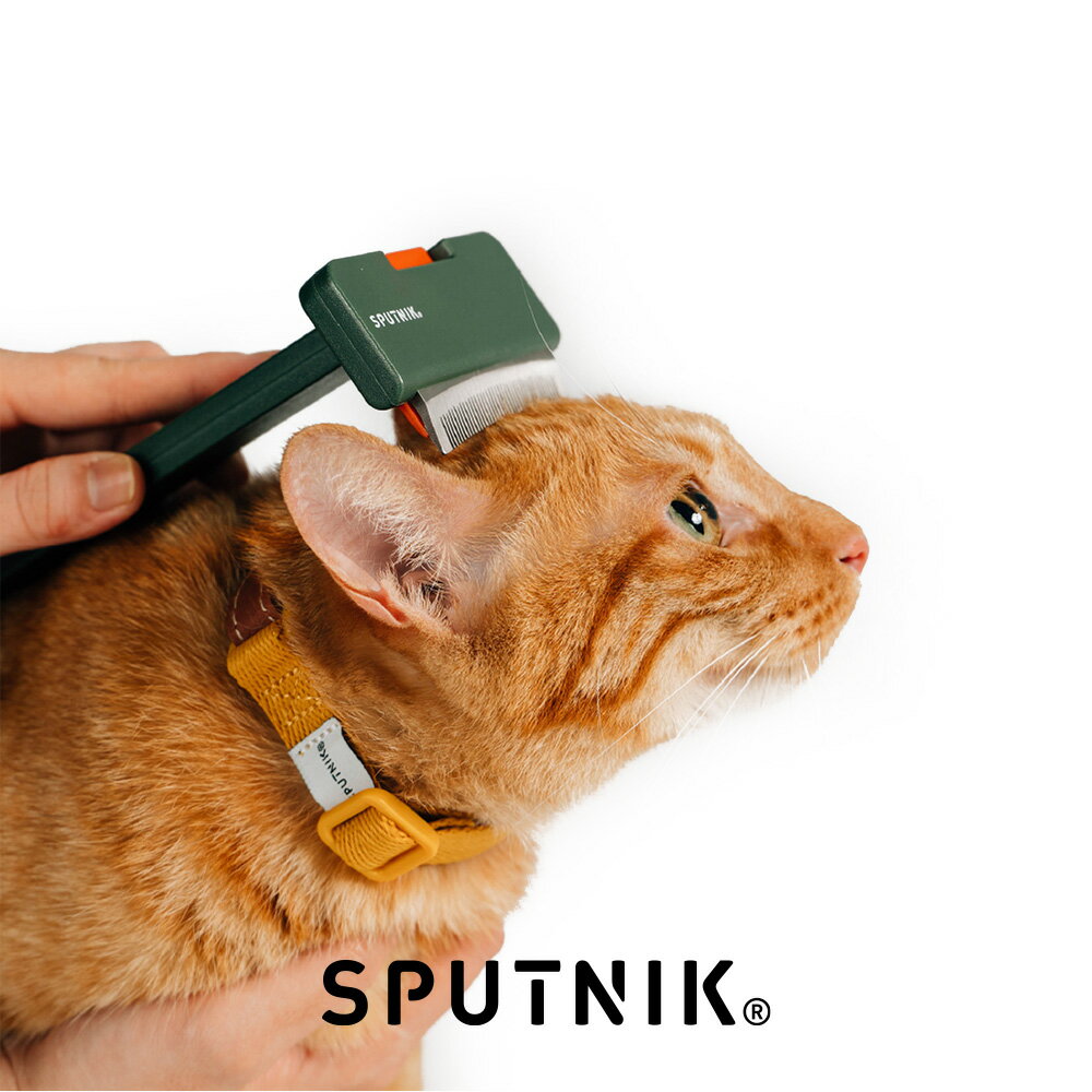 【ポイント20倍】ペットブラシ 猫ブラシ 犬ブラシ カーブ型 極軽量 金属 ステンレス 水洗い可能 猫 犬 抜け毛取り 短毛 中毛 犬猫用 スリッカーブラシ 【SPUTNIK】【台湾直送】【送料無料】