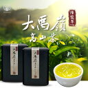 台湾土産 高山茶 茶葉 大禹嶺 100k 陳俊界高山茶 水出し 茶 茶葉 お茶 リーフ 台湾茶 中国茶 (2入/セット)【Tianshen天神】【台湾直送】【送...