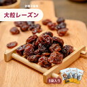大粒レーズン 150g×3袋 砂糖不使用 ドライフルーツ 大粒 レーズン 干しぶどう 干し葡萄 ほしぶどう 食物繊維 アントシアニン ポリフェノール チリ産 ヘ...