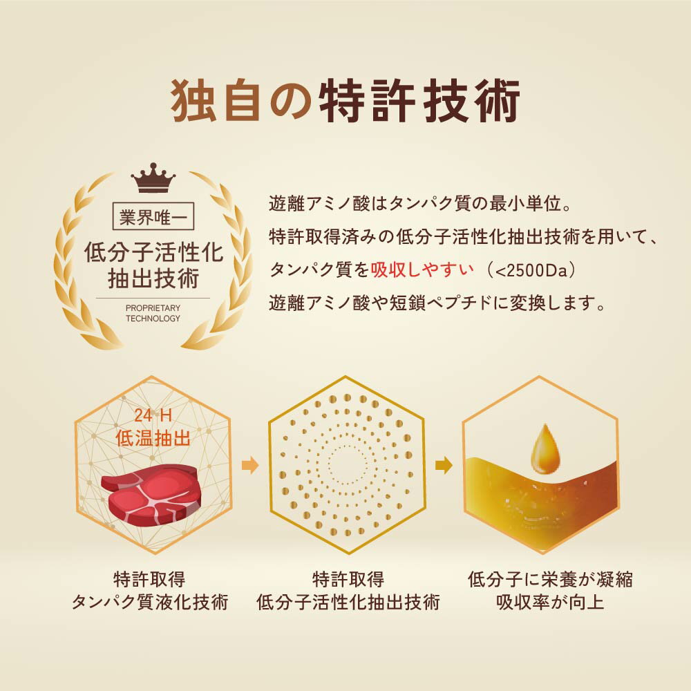 ビーフエキス 60ml 10袋／30袋入り ビーフ 牛肉 牛骨 牛骨スープ エッセンス スー...