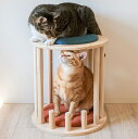 キャットハウス スツール 猫用 木製 パイン材 クッション付き ペット用ハウス ペットハウス いす 椅子 チェア ペット用 ペット用品 ペット 猫 ねこ 多頭飼...