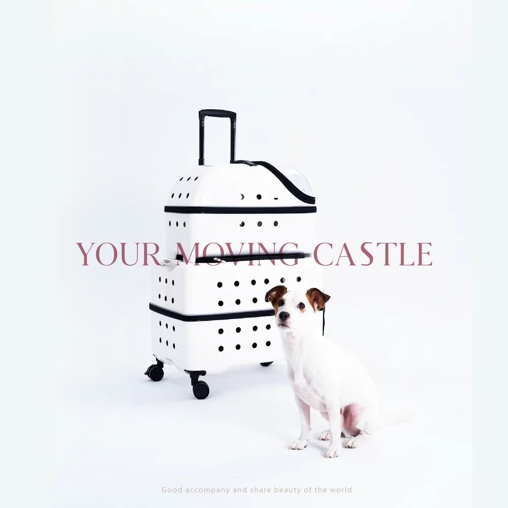 ��󥭥󥰼��� ����꡼�Хå� �ڥåȥ���꡼ �� ǭ �ܥ��ȥ󥭥�꡼ 3�� �Ų� ���㥹�����դ� Ķ������ ������ 12kg �ڥå� ���եȥ���꡼ ���㥹���� ¿��ǽ��YMC your moving castle�ۡ�����ľ���ۡ�����̵����