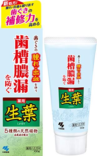 【3個】小林製薬 薬用歯みがき 生葉歯槽膿漏を防ぐ 和漢ハーブの香味 薬用ハミガキ 歯周病 知覚過敏用歯磨き粉 100g