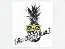 Bliss Closet Hawaii ブリスクローゼットハワイ【ハワイ限定・Hawaii直輸入】ステッカー StickerNeon Pineapple・Lar...