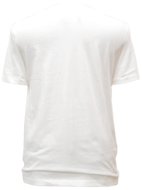 Patagonia パタゴニア【ハワイ限定・ Hawaii直輸入】M'S LEANING PALM LW COTTON T-SHIRT-HONOLULUTシャツ PATALOHA パタロハWHITE メンズ・ユニセックス サイズ：S-L