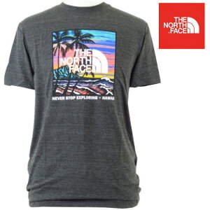 THE NORTH FACE ザ ノースフェイス【ハワイ限定】【HAWAII直輸入】M SS CITY LNDMRK TTNFBHTHR/HAWAIIUSAモデル・Tシャツ・ メンズ ユニセックス【返品交換不可】